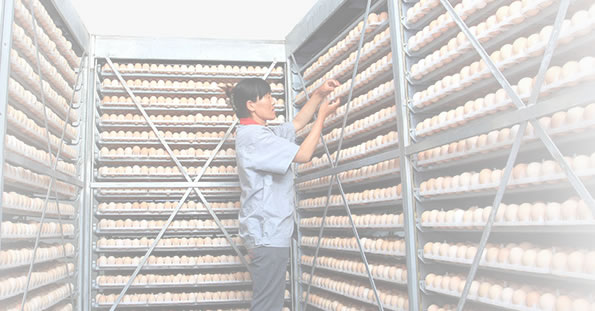 易游yy米乐app：济南高新区鸡山小学展开防震减灾应急分散演练活动